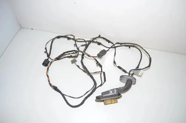 Rear Left Door Wiring