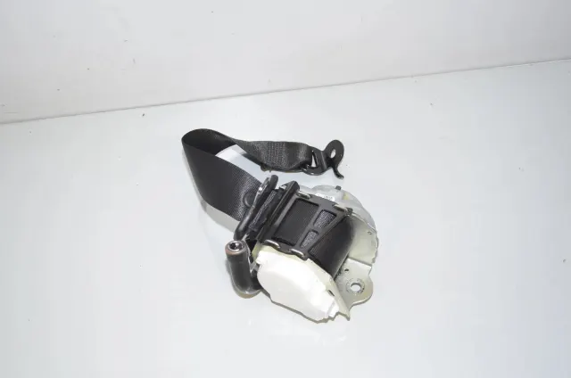 Rear Left Seatbelt