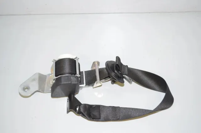 Rear Right Seatbelt