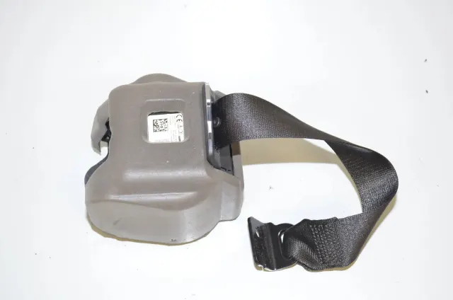 Rear Left Seatbelt