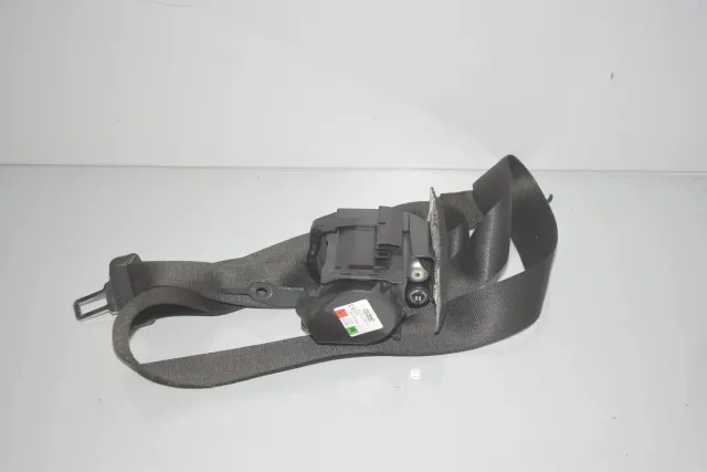 Rear Left Seatbelt