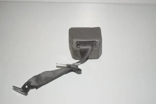 Rear Left Seatbelt