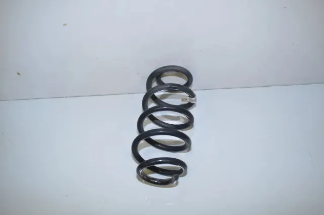 Rear Left Coil Spring