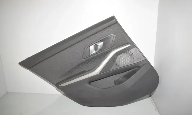 Rear Left Door Panel