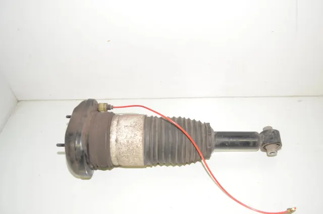 Rear Left Shock Absorber