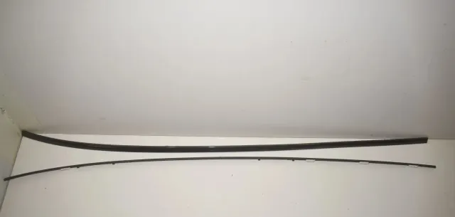 Right Side Roof Strip Trim
