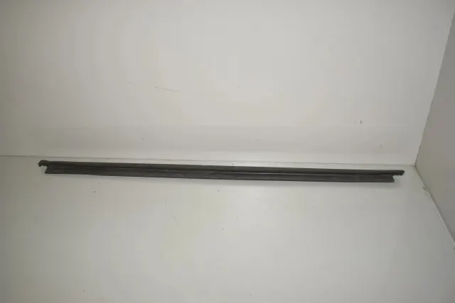 Rear Left Door Window Strip
