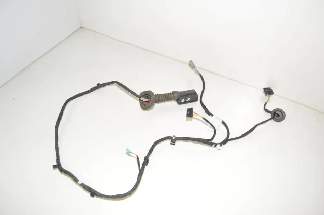 Rear Left Door Wiring