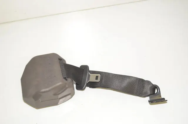 Rear Right Seatbelt
