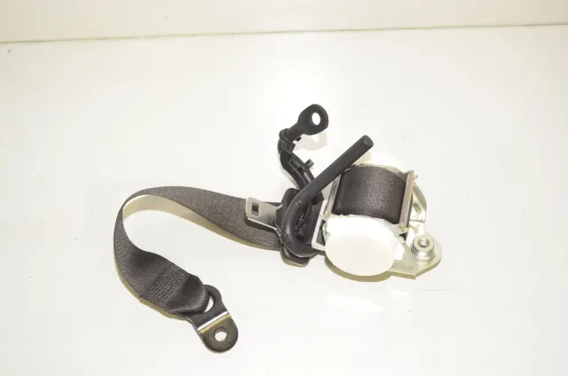 Rear Left Seatbelt