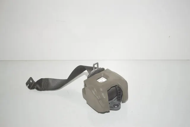 Rear Left Seatbelt