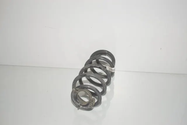 Rear Left Coil Spring