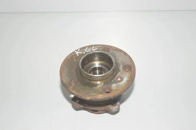 Rear Left Wheel Bearing