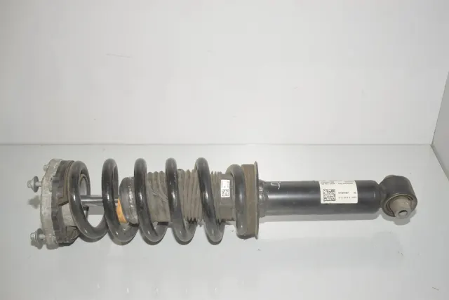 Rear Left Shock Absorber