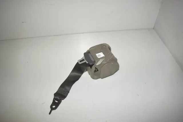 Rear Right Seatbelt