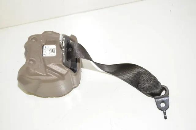Rear Left Seatbelt