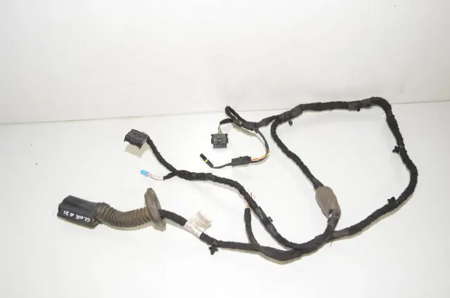 Rear Left Door Wiring