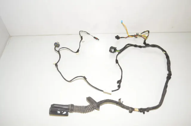 Rear Left Door Wiring