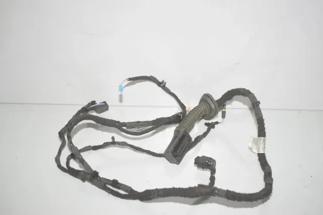 Rear Left Door Wiring