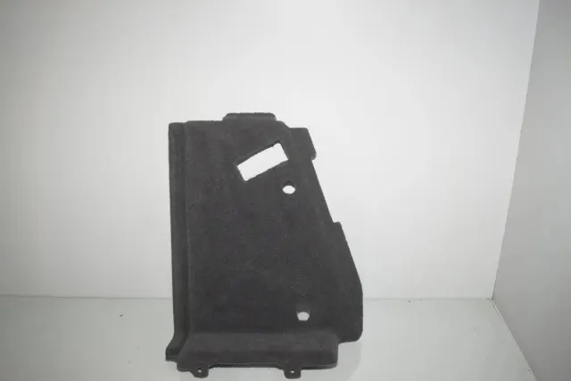 Left Side Trunk Trim