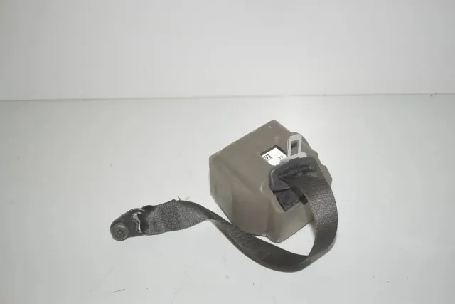 Rear Left Seatbelt