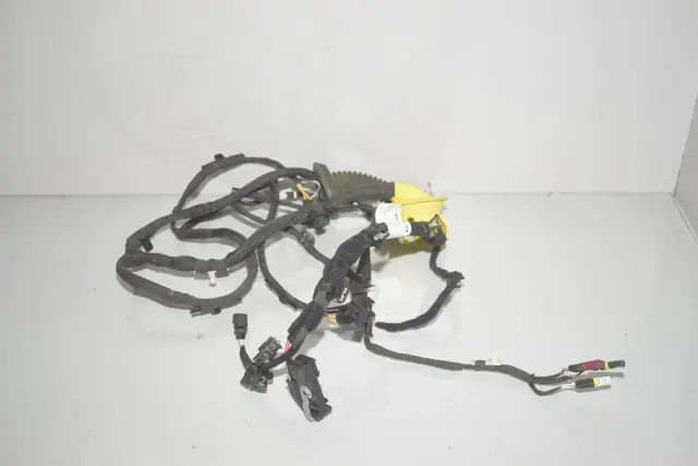 Rear Left Door Wiring