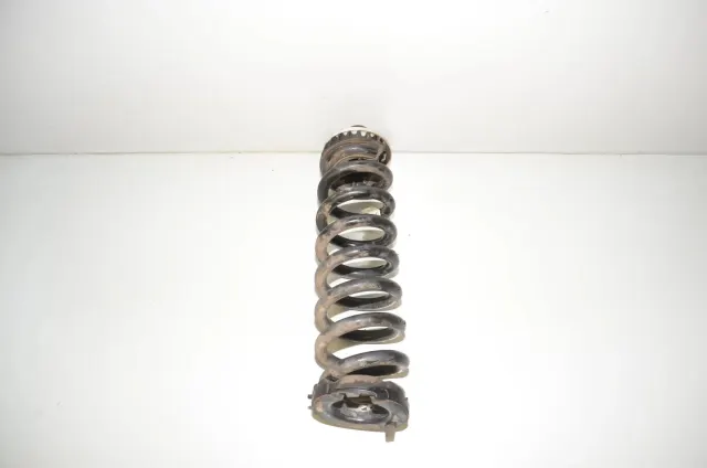Rear Right Coil Spring