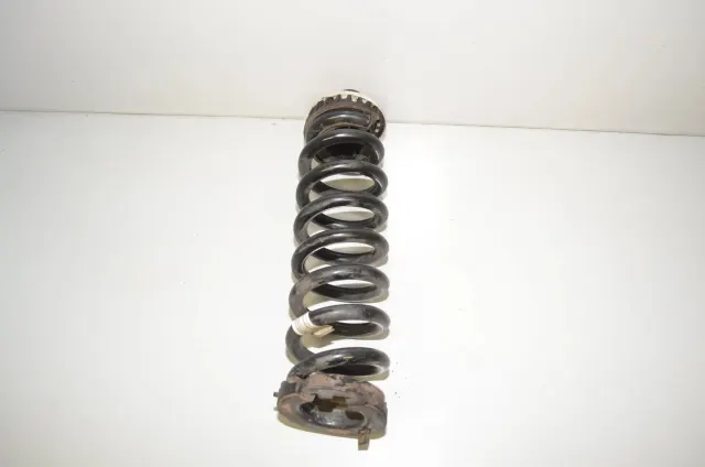 Rear Left Coil Spring
