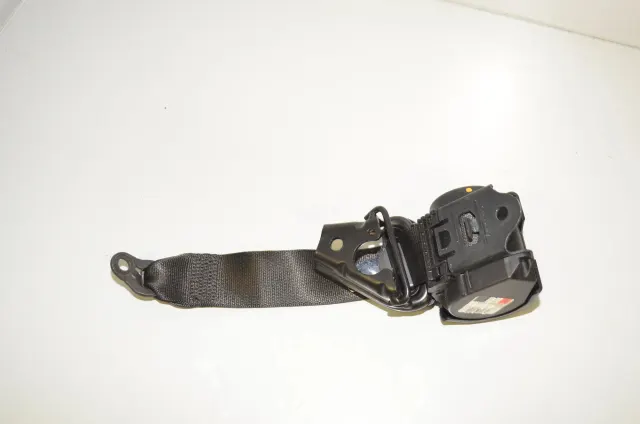 Rear Left Seatbelt