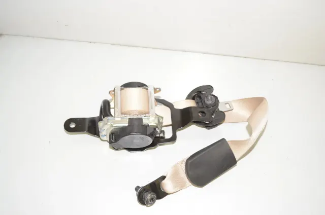 Rear Right Seatbelt