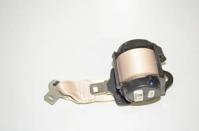 Rear Right Seatbelt