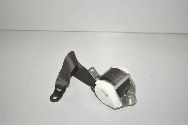 Rear Right Seatbelt