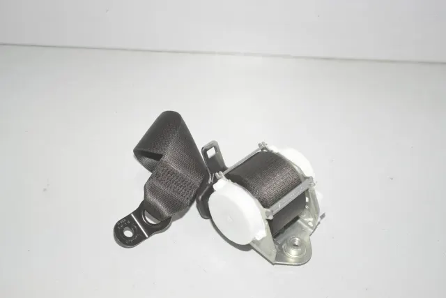 Rear Left Seatbelt