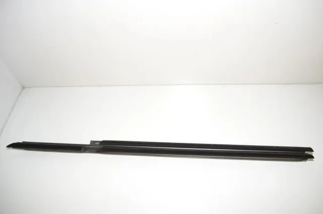 Rear Left Door Window Strip