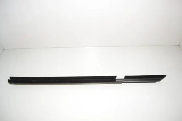 Rear Left Door Window Strip
