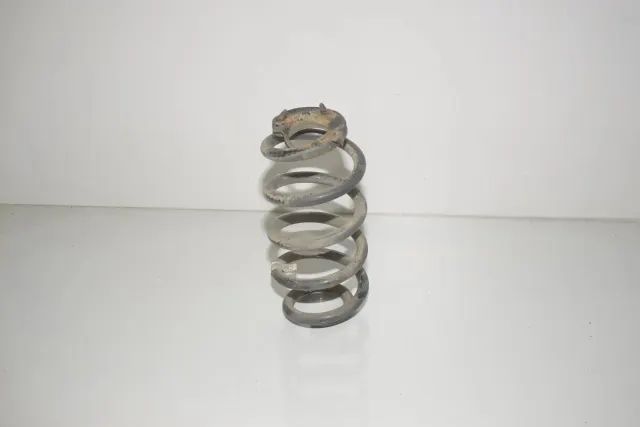 Rear Left Coil Spring