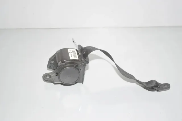 Rear Left Seatbelt