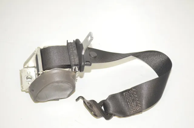 Rear Left Seatbelt