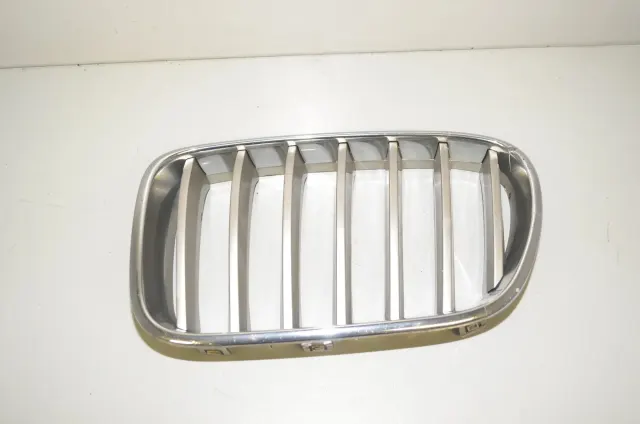 Front Left Grill