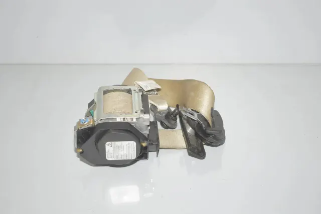Rear Left Seatbelt