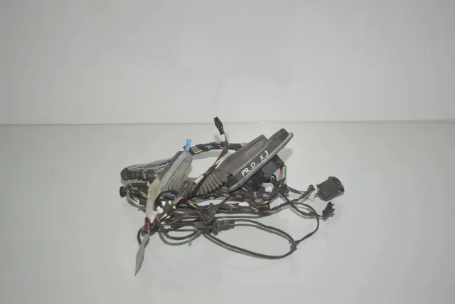Front Right Door Wiring