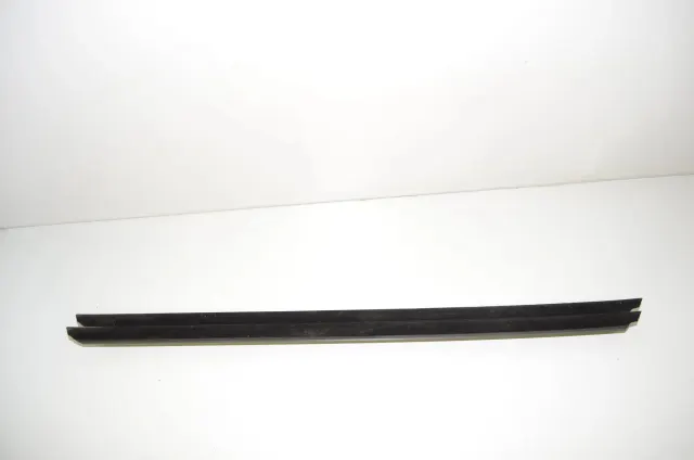Front Left Door Window Strip