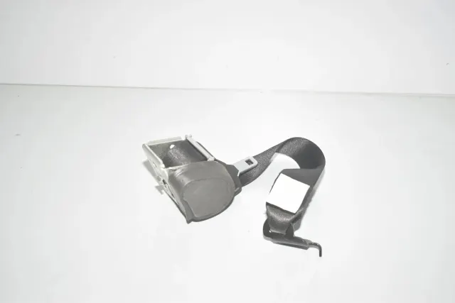 Rear Left Seatbelt
