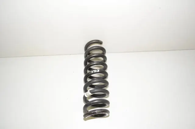 Rear Left Coil Spring
