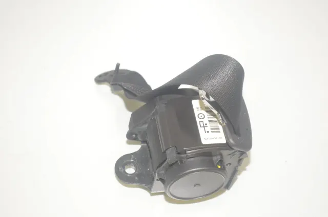 Rear Left Seatbelt
