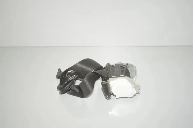 Rear Left Seatbelt