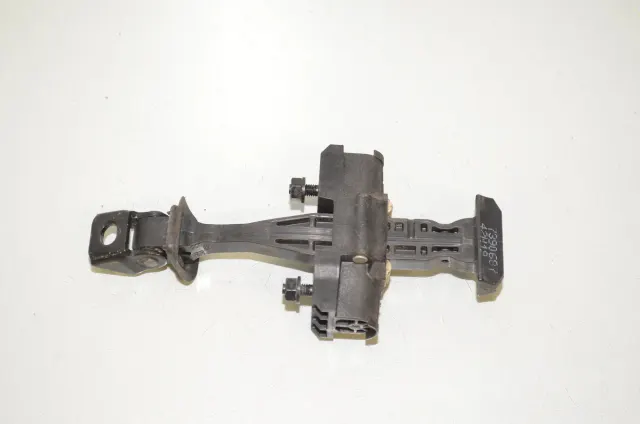 Rear Left Door Hinge