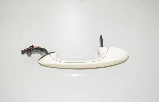 Rear Left Door Exterior Handle