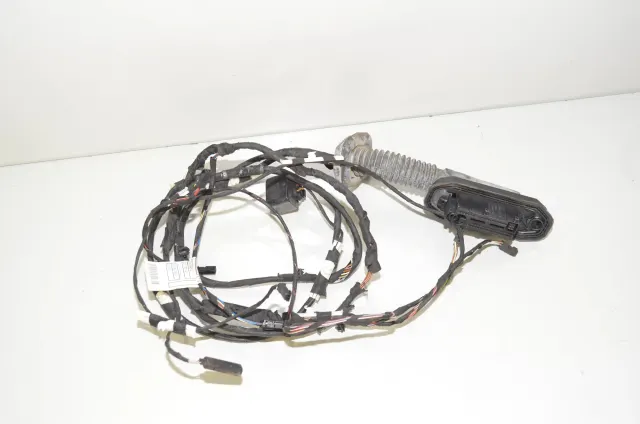 Rear Right Door Wiring