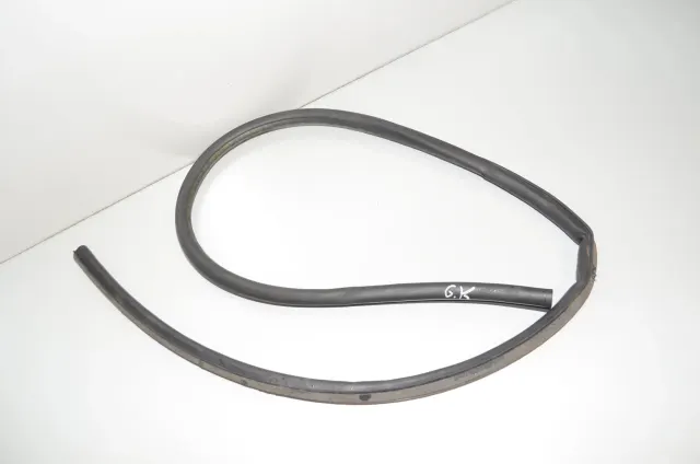 Rear Left Door Seal Rubber
